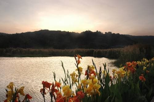 Outdoor Pictures 3