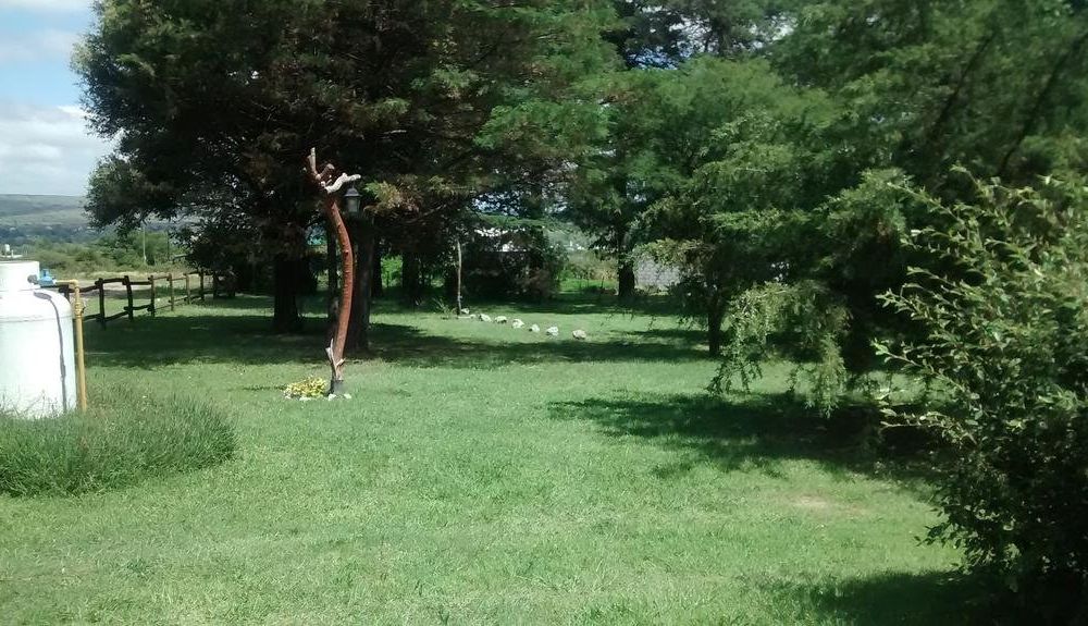 Outdoor Pictures 17
