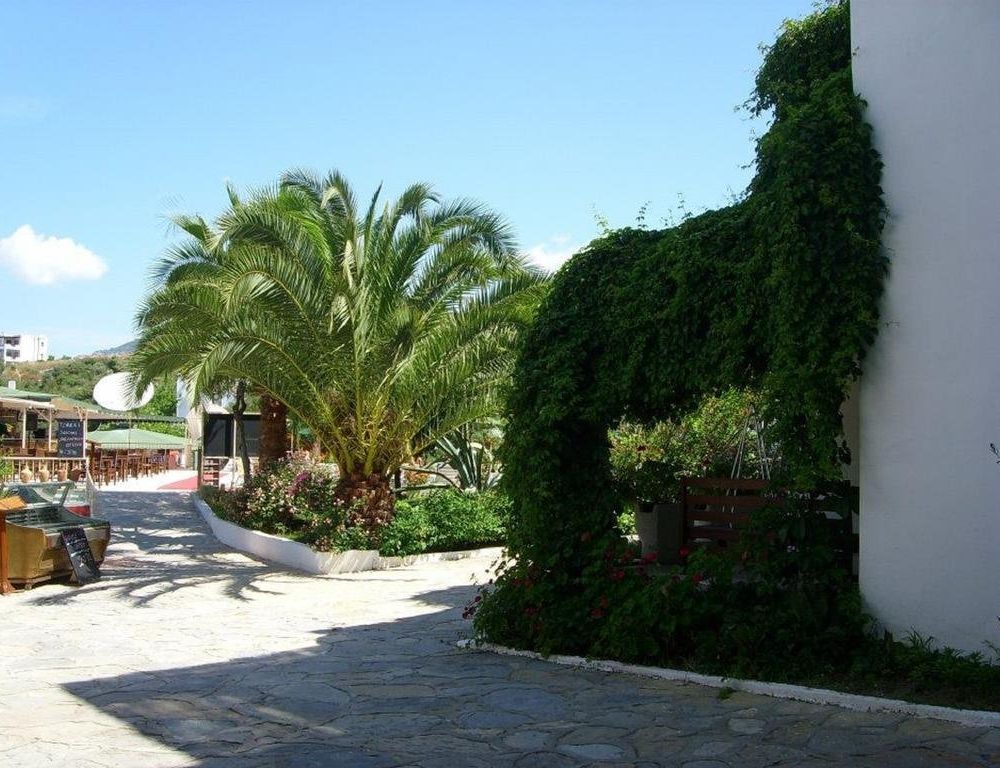 Outdoor Pictures 10