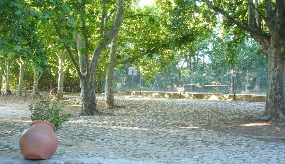 Outdoor Pictures 16
