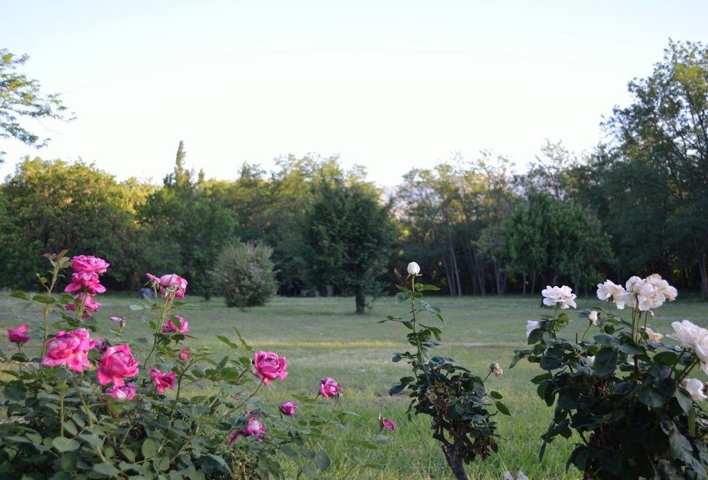 Outdoor Pictures 19