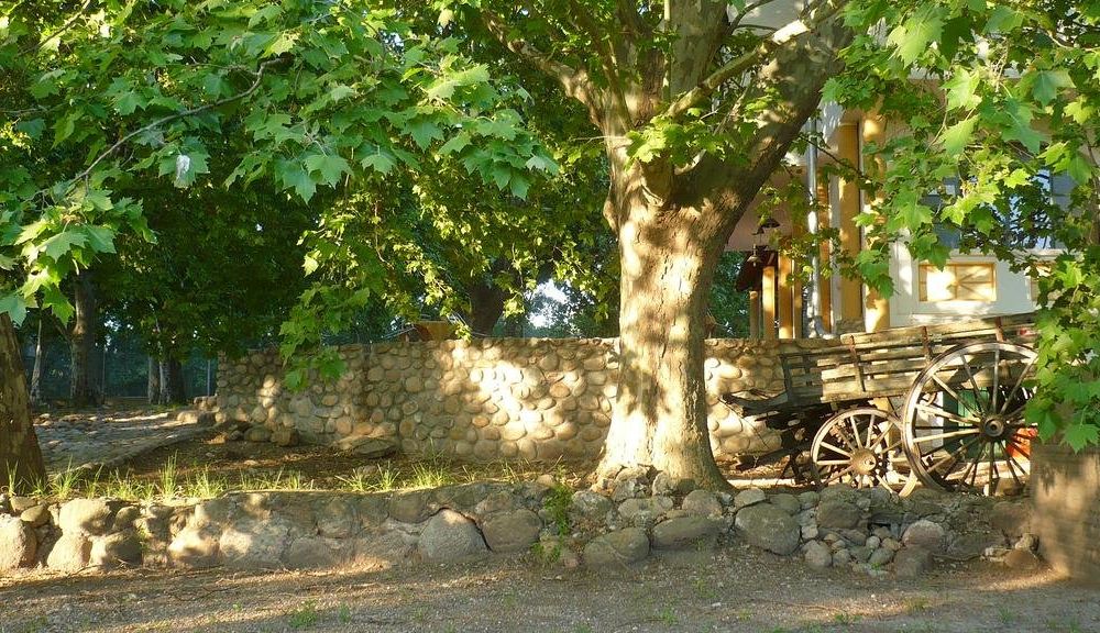 Outdoor Pictures 15