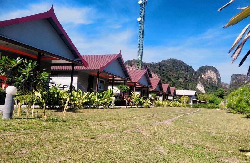 Phi Phi Coralbay
