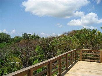 Outdoor Pictures 9