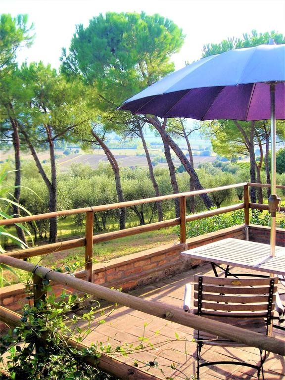 Outdoor Pictures 15