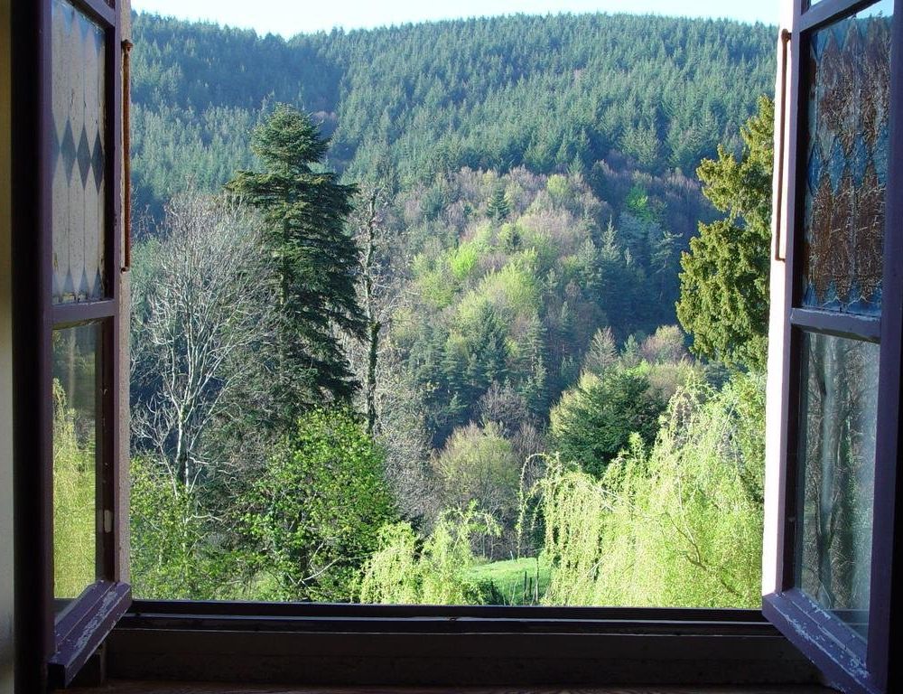 Outdoor Pictures 18