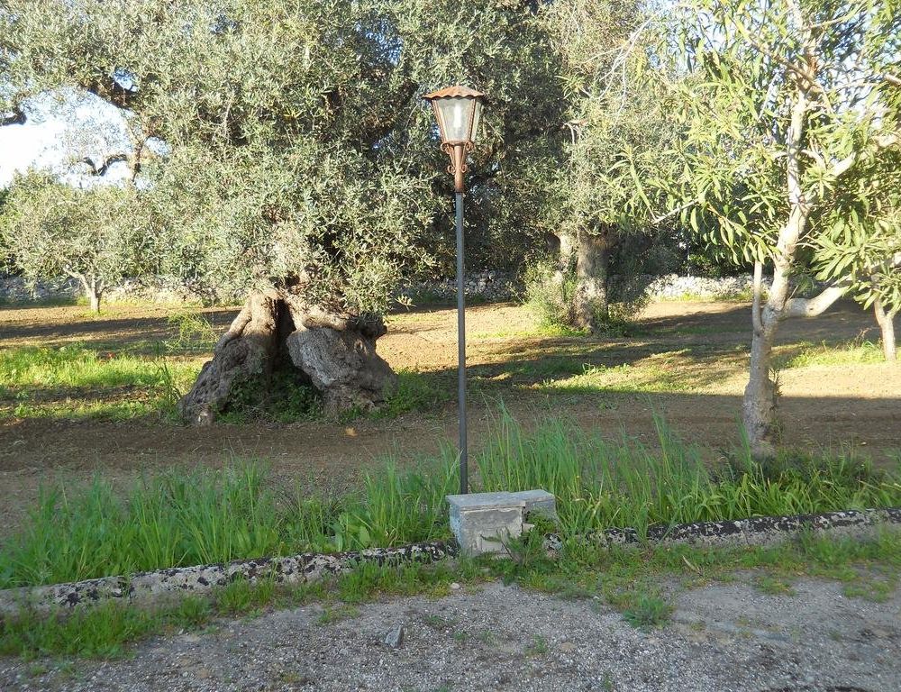 Outdoor Pictures 16