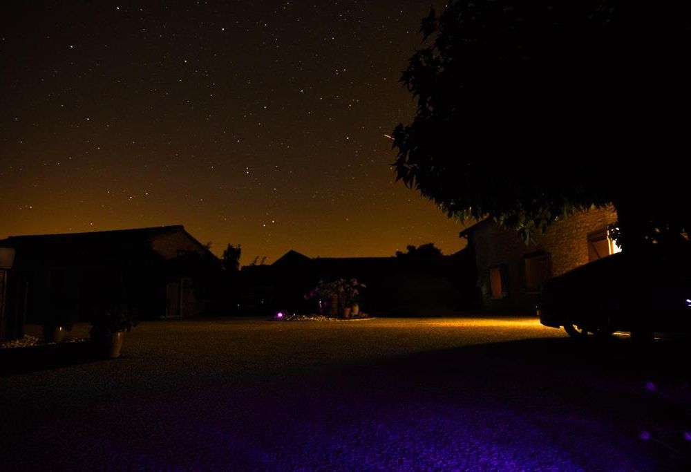 Outdoor Pictures 15