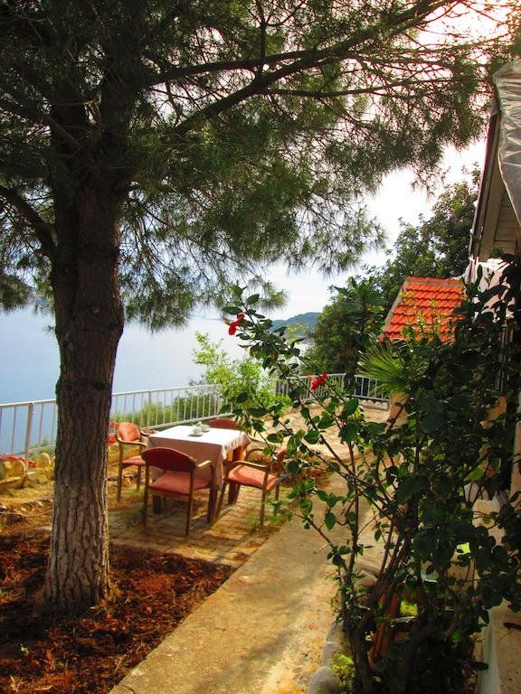 Outdoor Pictures 10
