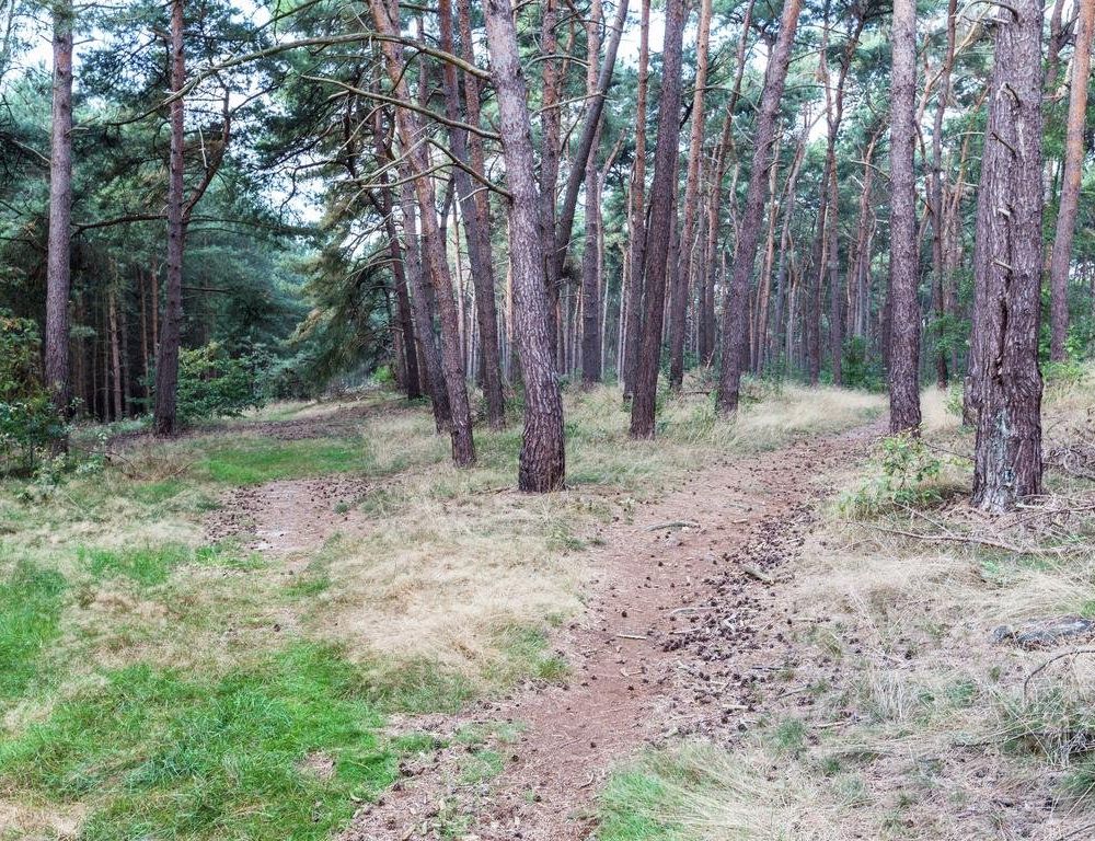 Outdoor Pictures 22