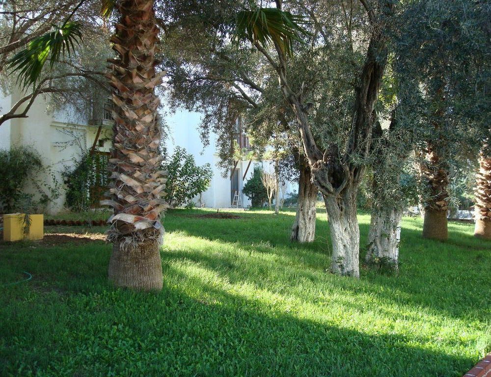 Outdoor Pictures 14