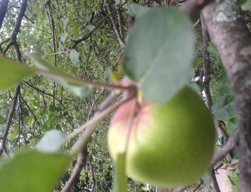 Outdoor Pictures 5