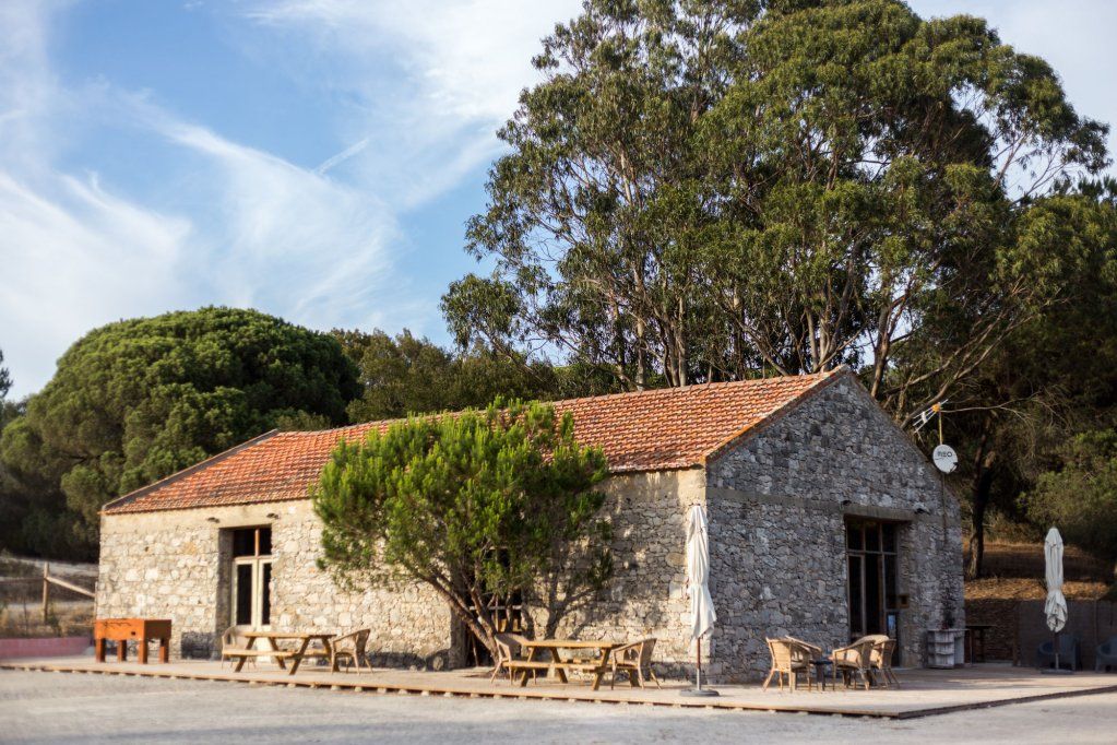 Uva Do Monte - Blueberry Farm