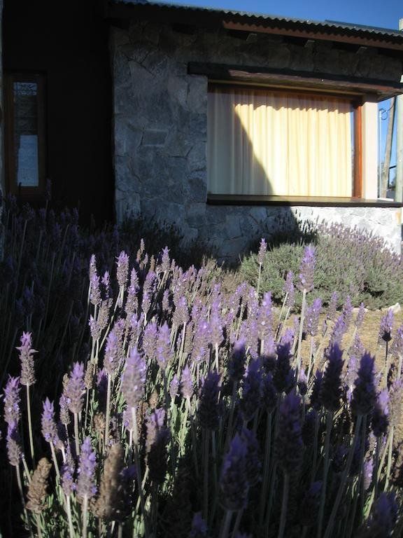 Outdoor Pictures 10