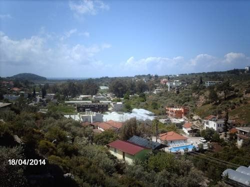Outdoor Pictures 6