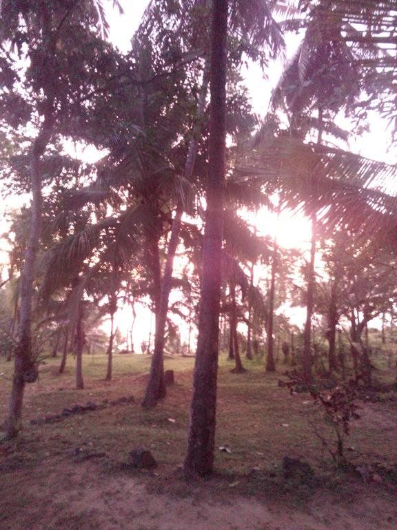 Outdoor Pictures 12