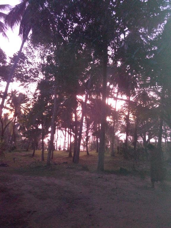 Outdoor Pictures 11