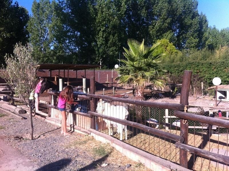 Outdoor Pictures 15