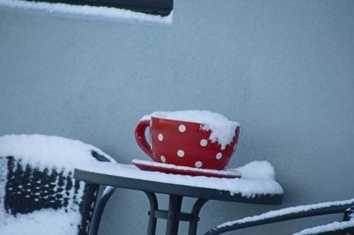 Outdoor Pictures 6