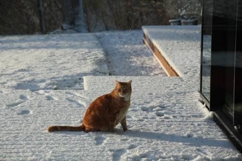Outdoor Pictures 7