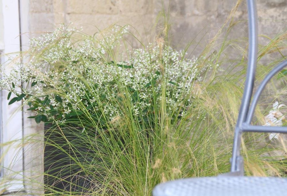 Outdoor Pictures 24