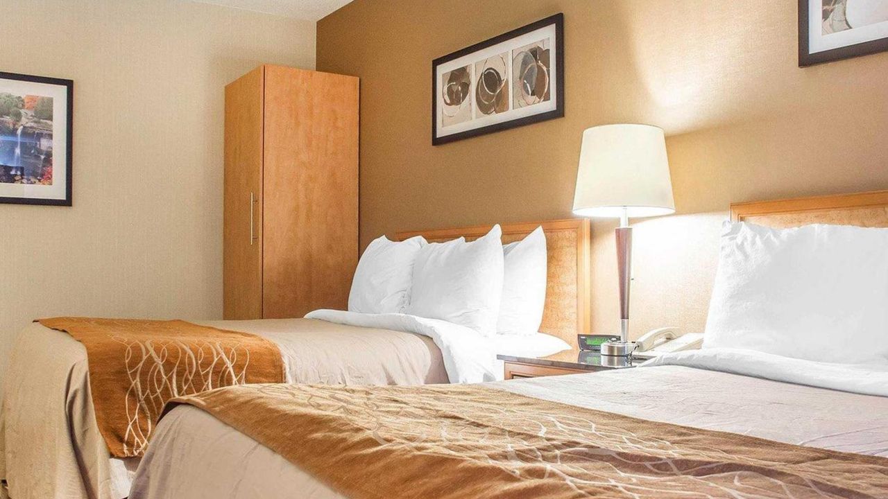 Comfort Inn Hamilton