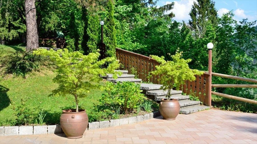 Outdoor Pictures 23