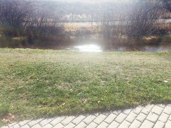 Outdoor Pictures 21