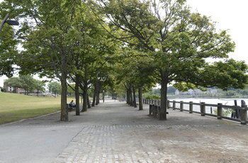 Outdoor Pictures 24