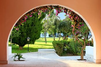 Outdoor Pictures 20