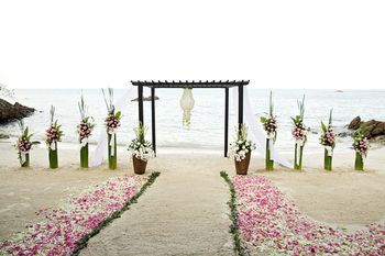 Outdoor Pictures 23