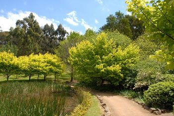 Outdoor Pictures 21