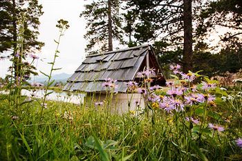 Outdoor Pictures 23