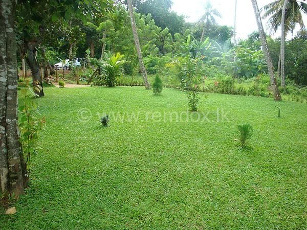 Outdoor Pictures 18