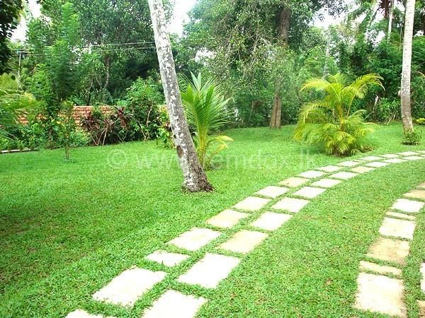 Outdoor Pictures 17