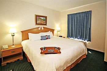 Hampton Inn Ft. Chiswell-Max Meadows