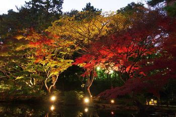 Outdoor Pictures 20