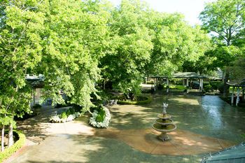 Outdoor Pictures 20