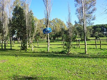 Outdoor Pictures 19