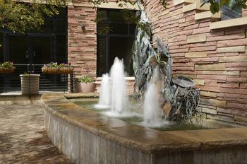 Outdoor Pictures 21