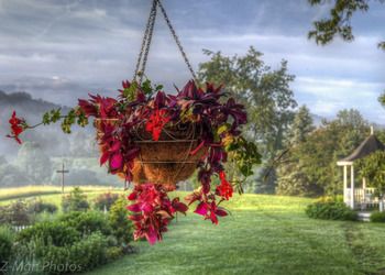 Outdoor Pictures 22