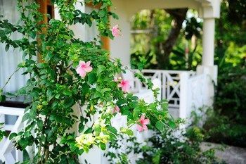 Outdoor Pictures 20