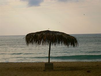 Outdoor Pictures 21
