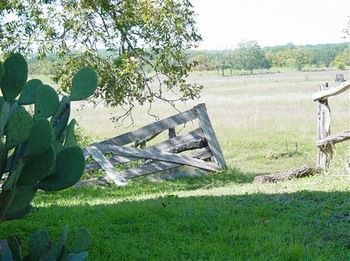Outdoor Pictures 9