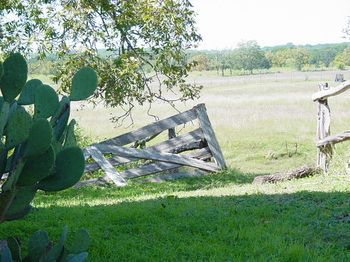 Outdoor Pictures 6