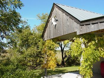 Outdoor Pictures 7