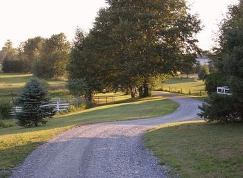 Outdoor Pictures 21
