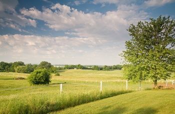 Outdoor Pictures 20