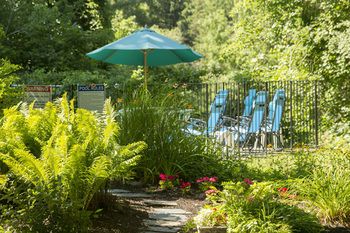 Outdoor Pictures 20