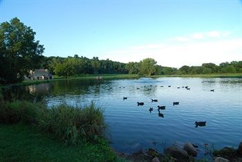 Outdoor Pictures 20